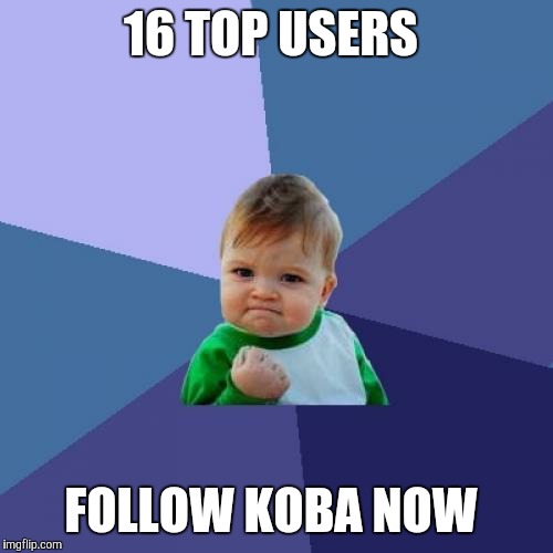 Success Kid Meme | 16 TOP USERS; FOLLOW KOBA NOW | image tagged in memes,success kid | made w/ Imgflip meme maker