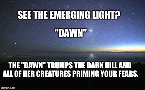 Just Before Dawn | SEE THE EMERGING LIGHT? "DAWN"; THE "DAWN" TRUMPS THE DARK HILL AND ALL OF HER CREATURES PRIMING YOUR FEARS. | image tagged in just before dawn | made w/ Imgflip meme maker