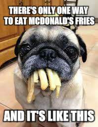 Fries pug | THERE'S ONLY ONE WAY TO EAT MCDONALD'S FRIES; AND IT'S LIKE THIS | image tagged in fries pug | made w/ Imgflip meme maker