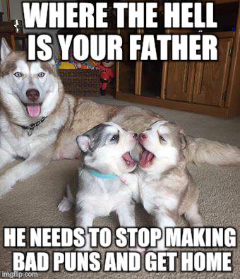 WHERE THE HELL IS YOUR FATHER; HE NEEDS TO STOP MAKING BAD PUNS AND GET HOME | image tagged in mirror husky pups | made w/ Imgflip meme maker