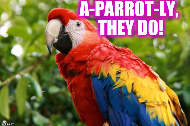 A-PARROT-LY, THEY DO! | made w/ Imgflip meme maker