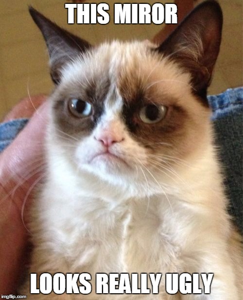 Grumpy Cat | THIS MIROR; LOOKS REALLY UGLY | image tagged in memes,grumpy cat | made w/ Imgflip meme maker