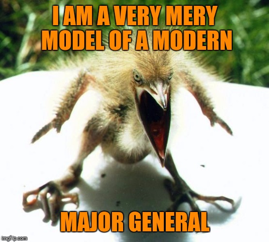 Unpleasant Bird | I AM A VERY MERY MODEL OF A MODERN MAJOR GENERAL | image tagged in unpleasant bird | made w/ Imgflip meme maker
