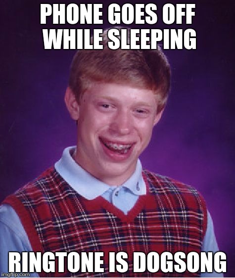 Bad Luck Brian | PHONE GOES OFF WHILE SLEEPING; RINGTONE IS DOGSONG | image tagged in memes,bad luck brian | made w/ Imgflip meme maker