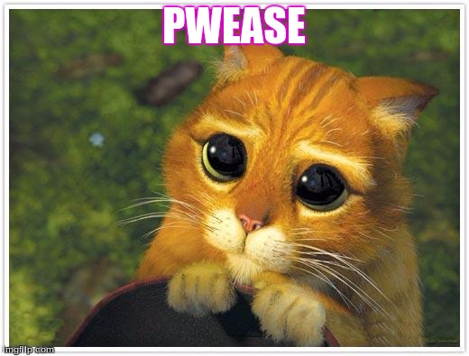 Shrek Cat Meme | PWEASE | image tagged in memes,shrek cat | made w/ Imgflip meme maker