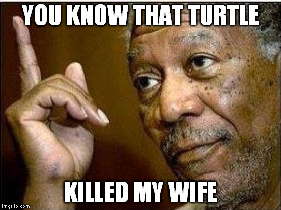 YOU KNOW THAT TURTLE KILLED MY WIFE | made w/ Imgflip meme maker