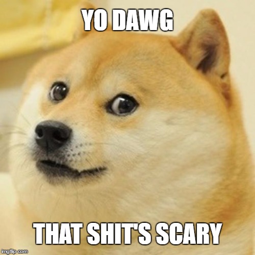 Doge Meme | YO DAWG; THAT SHIT'S SCARY | image tagged in memes,doge | made w/ Imgflip meme maker