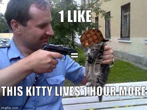 Kitty's going to die! Support it! | 1 LIKE; =; THIS KITTY LIVES 1 HOUR MORE | image tagged in police and kitten,scumbag,likes,fuck the police,memes,mems | made w/ Imgflip meme maker