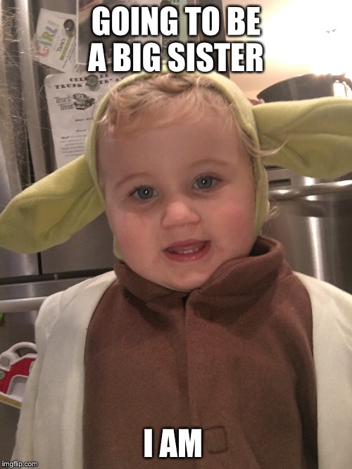 Yoda | GOING TO BE A BIG SISTER; I AM | image tagged in grumpy cat | made w/ Imgflip meme maker