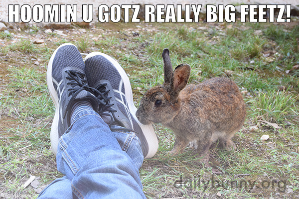 Feetz | HOOMIN U GOTZ REALLY BIG FEETZ! | image tagged in meme | made w/ Imgflip meme maker