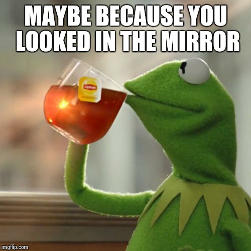 But That's None Of My Business Meme | MAYBE BECAUSE YOU LOOKED IN THE MIRROR | image tagged in memes,but thats none of my business,kermit the frog | made w/ Imgflip meme maker