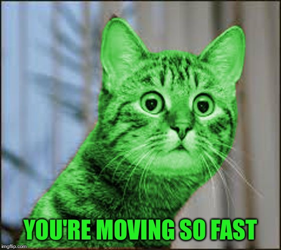 RayCat WTF | YOU'RE MOVING SO FAST | image tagged in raycat wtf | made w/ Imgflip meme maker