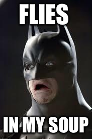 Disgusted Batman | FLIES; IN MY SOUP | image tagged in disgusted batman | made w/ Imgflip meme maker