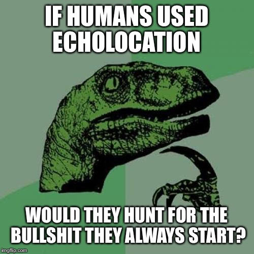 We Have Nothing Better To Do | IF HUMANS USED ECHOLOCATION; WOULD THEY HUNT FOR THE BULLSHIT THEY ALWAYS START? | image tagged in memes,philosoraptor,bullshit | made w/ Imgflip meme maker