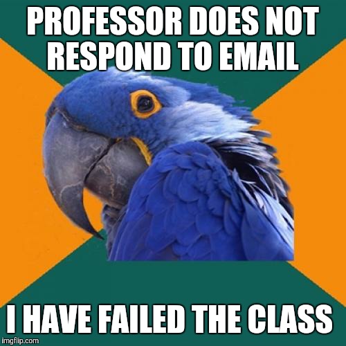 Paranoid Parrot | PROFESSOR DOES NOT RESPOND TO EMAIL; I HAVE FAILED THE CLASS | image tagged in memes,paranoid parrot | made w/ Imgflip meme maker