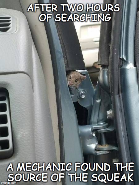 Squeak in the car | AFTER TWO HOURS OF SEARCHING; A MECHANIC FOUND THE SOURCE OF THE SQUEAK | image tagged in auto,mouse | made w/ Imgflip meme maker