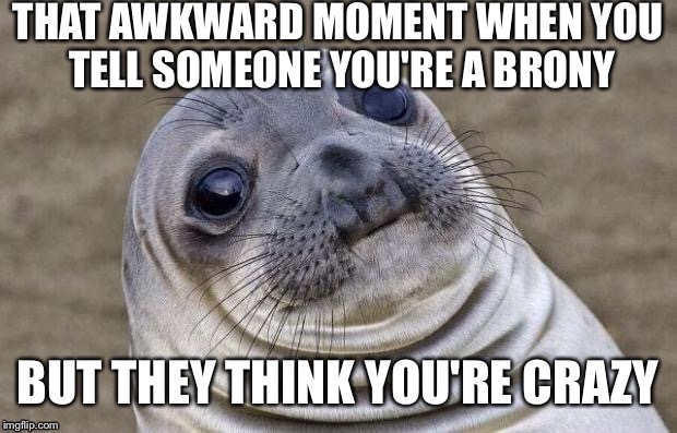 Awkward Moment Sealion | THAT AWKWARD MOMENT WHEN YOU TELL SOMEONE YOU'RE A BRONY; BUT THEY THINK YOU'RE CRAZY | image tagged in memes,awkward moment sealion | made w/ Imgflip meme maker