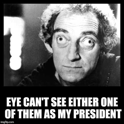 Marty Feldman | EYE CAN'T SEE EITHER ONE OF THEM AS MY PRESIDENT | image tagged in marty feldman | made w/ Imgflip meme maker
