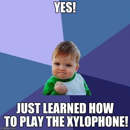 Baby's first success | YES! JUST LEARNED HOW TO PLAY THE XYLOPHONE! | image tagged in memes,success kid,baby,instrument | made w/ Imgflip meme maker