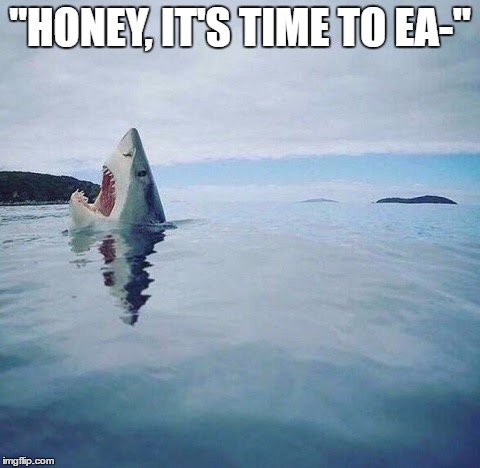shark_head_out_of_water | "HONEY, IT'S TIME TO EA-" | image tagged in shark_head_out_of_water | made w/ Imgflip meme maker