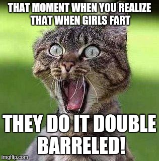 Hold on, Harold! She's using both barrels! | THAT MOMENT WHEN YOU REALIZE THAT WHEN GIRLS FART; THEY DO IT DOUBLE BARRELED! | image tagged in shocked cat,farts,girls,women | made w/ Imgflip meme maker