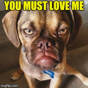 YOU MUST LOVE ME | made w/ Imgflip meme maker