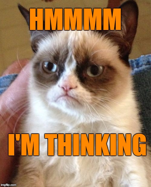 Grumpy Cat Meme | HMMMM I'M THINKING | image tagged in memes,grumpy cat | made w/ Imgflip meme maker