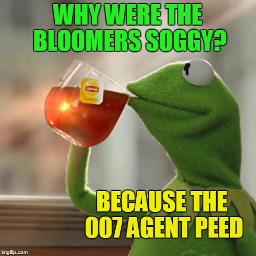 But That's None Of My Business Meme | WHY WERE THE BLOOMERS SOGGY? BECAUSE THE 007 AGENT PEED | image tagged in memes,but thats none of my business,kermit the frog | made w/ Imgflip meme maker