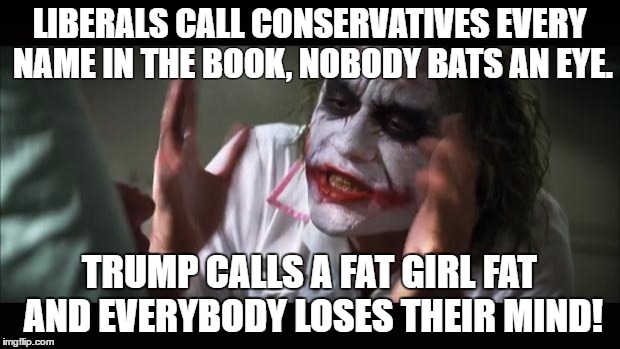 And everybody loses their minds | LIBERALS CALL CONSERVATIVES EVERY NAME IN THE BOOK, NOBODY BATS AN EYE. TRUMP CALLS A FAT GIRL FAT AND EVERYBODY LOSES THEIR MIND! | image tagged in memes,and everybody loses their minds | made w/ Imgflip meme maker