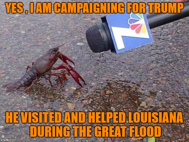Crawfish Interview | YES , I AM CAMPAIGNING FOR TRUMP; HE VISITED AND HELPED LOUISIANA DURING THE GREAT FLOOD | image tagged in crawfish interview | made w/ Imgflip meme maker