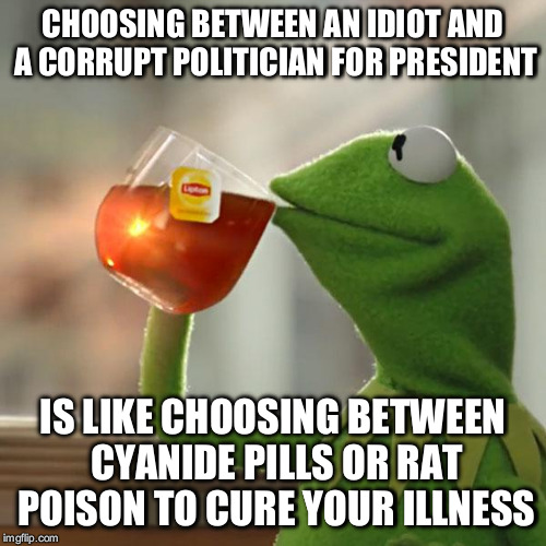 But That's None Of My Business Meme | CHOOSING BETWEEN AN IDIOT AND A CORRUPT POLITICIAN FOR PRESIDENT; IS LIKE CHOOSING BETWEEN CYANIDE PILLS OR RAT POISON TO CURE YOUR ILLNESS | image tagged in memes,but thats none of my business,kermit the frog | made w/ Imgflip meme maker