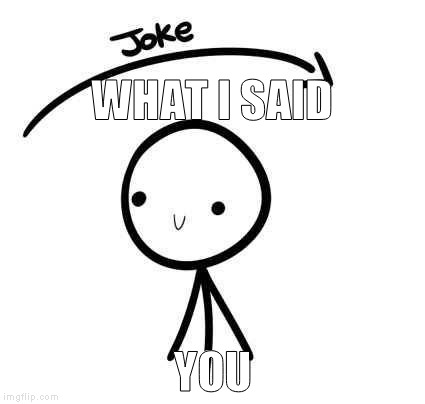the joke and you | WHAT I SAID; YOU | image tagged in the joke and you | made w/ Imgflip meme maker