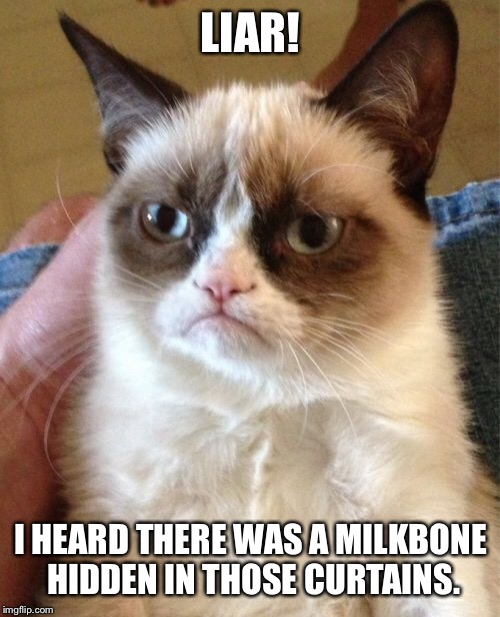 Grumpy Cat Meme | LIAR! I HEARD THERE WAS A MILKBONE HIDDEN IN THOSE CURTAINS. | image tagged in memes,grumpy cat | made w/ Imgflip meme maker