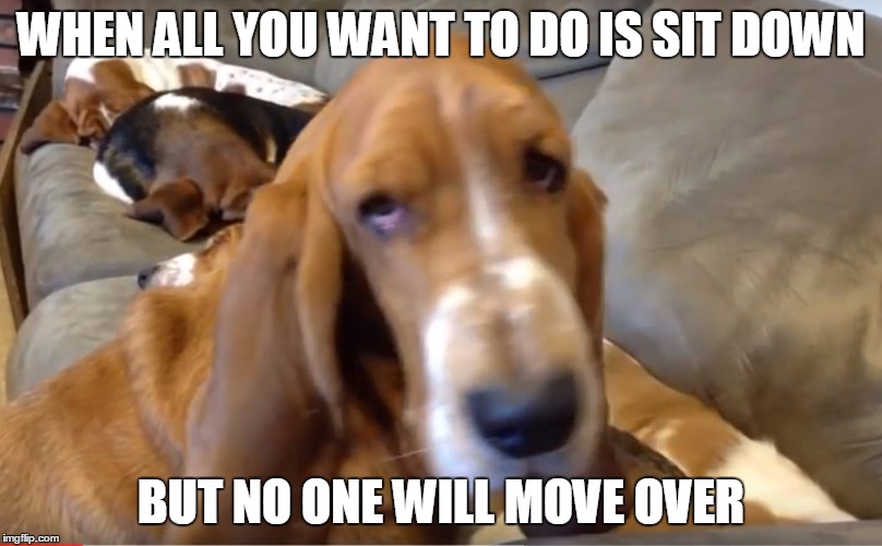 Sad Basset | WHEN ALL YOU WANT TO DO IS SIT DOWN; BUT NO ONE WILL MOVE OVER | image tagged in sad basset | made w/ Imgflip meme maker