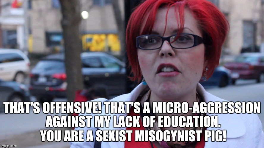 THAT'S OFFENSIVE! THAT'S A MICRO-AGGRESSION AGAINST MY LACK OF EDUCATION. YOU ARE A SEXIST MISOGYNIST PIG! | made w/ Imgflip meme maker