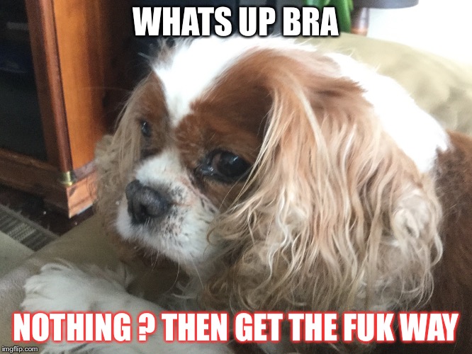 Whatsup | WHATS UP BRA; NOTHING ? THEN GET THE FUK WAY | image tagged in hello | made w/ Imgflip meme maker