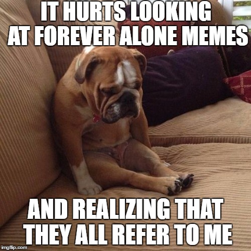 sad dog | IT HURTS LOOKING AT FOREVER ALONE MEMES; AND REALIZING THAT THEY ALL REFER TO ME | image tagged in sad dog,memes,forever alone | made w/ Imgflip meme maker