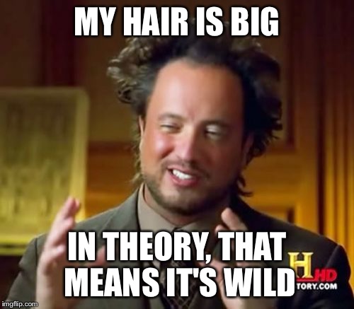 Ancient Aliens Meme | MY HAIR IS BIG; IN THEORY, THAT MEANS IT'S WILD | image tagged in memes,ancient aliens | made w/ Imgflip meme maker