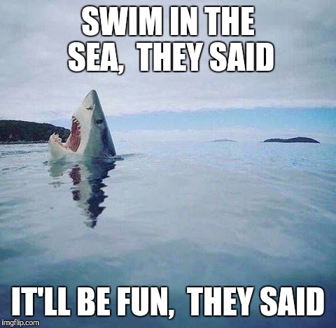 shark_head_out_of_water | SWIM IN THE SEA,  THEY SAID; IT'LL BE FUN,  THEY SAID | image tagged in shark_head_out_of_water | made w/ Imgflip meme maker