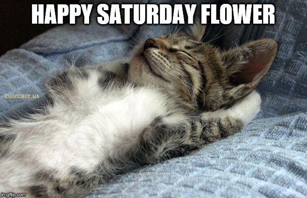 HAPPY SATURDAY FLOWER | made w/ Imgflip meme maker