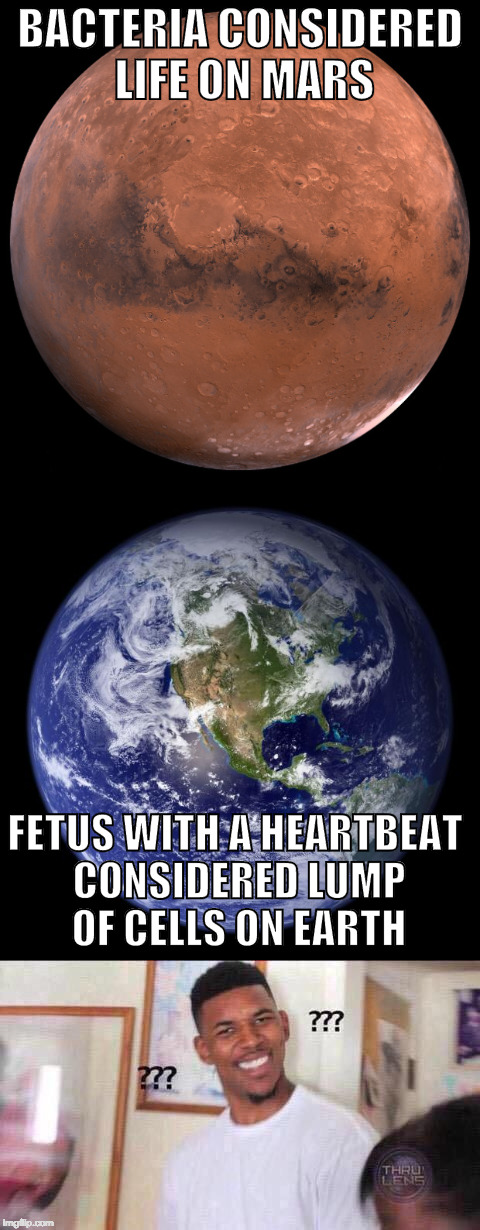 "Science proves everything except when I don't want it to!" - Liberal Logic | BACTERIA CONSIDERED LIFE ON MARS; FETUS WITH A HEARTBEAT CONSIDERED LUMP OF CELLS ON EARTH | image tagged in abortion,earth,college liberal,science,bacon,life on mars | made w/ Imgflip meme maker