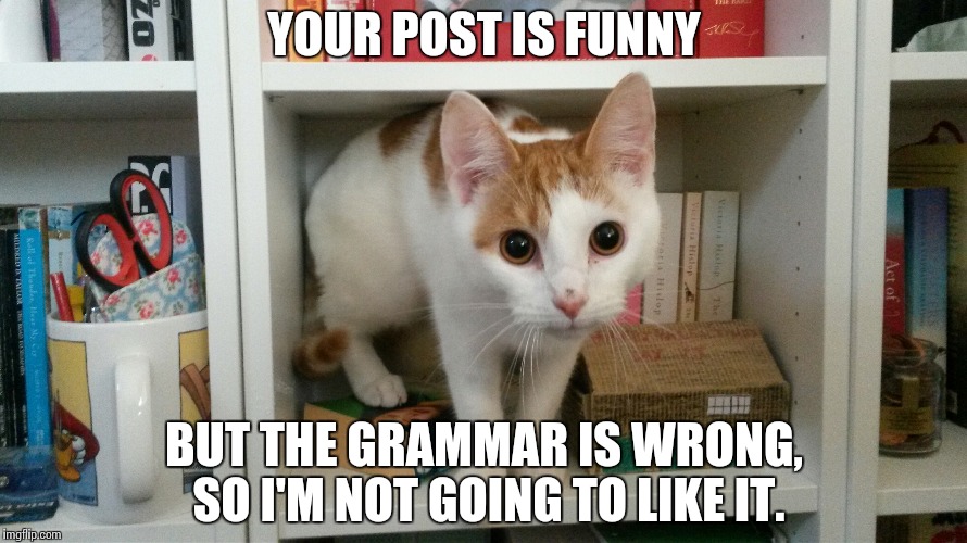 Grammar police! |  YOUR POST IS FUNNY; BUT THE GRAMMAR IS WRONG, SO I'M NOT GOING TO LIKE IT. | image tagged in cat memes,cats,grammar police,funny cats | made w/ Imgflip meme maker