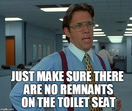 That Would Be Great Meme | JUST MAKE SURE THERE ARE NO REMNANTS ON THE TOILET SEAT | image tagged in memes,that would be great | made w/ Imgflip meme maker