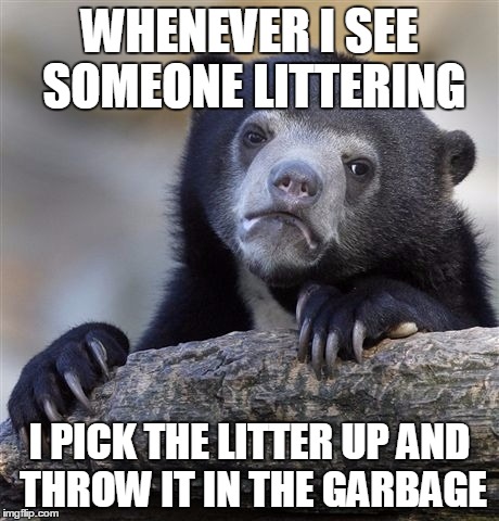 Confession Bear Meme | WHENEVER I SEE SOMEONE LITTERING; I PICK THE LITTER UP AND THROW IT IN THE GARBAGE | image tagged in memes,confession bear | made w/ Imgflip meme maker