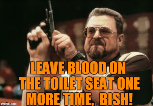 One of the downsides to having a female roommate | LEAVE BLOOD ON THE TOILET SEAT ONE MORE TIME,  BISH! | image tagged in memes,am i the only one around here | made w/ Imgflip meme maker