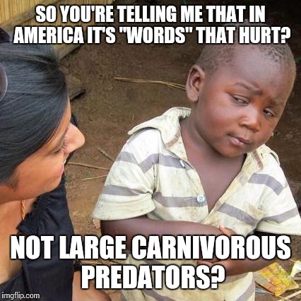 Third World Skeptical Kid | SO YOU'RE TELLING ME THAT IN AMERICA IT'S "WORDS" THAT HURT? NOT LARGE CARNIVOROUS PREDATORS? | image tagged in memes,third world skeptical kid | made w/ Imgflip meme maker