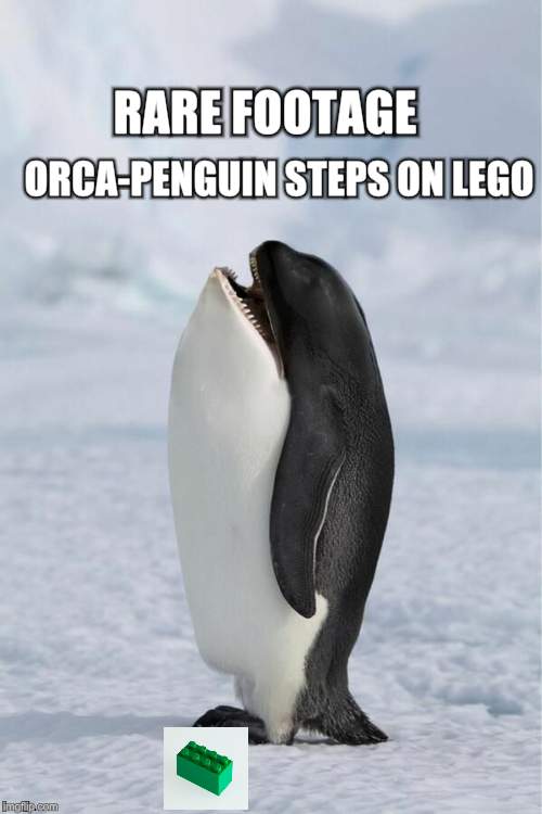 Whale Penguin | ORCA-PENGUIN STEPS ON LEGO; RARE FOOTAGE | image tagged in whale penguin | made w/ Imgflip meme maker