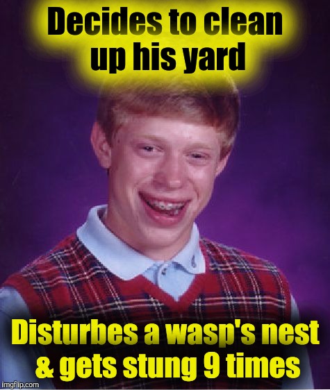 Bad Luck Brian Meme | Decides to clean up his yard; Disturbes a wasp's nest & gets stung 9 times | image tagged in memes,bad luck brian | made w/ Imgflip meme maker