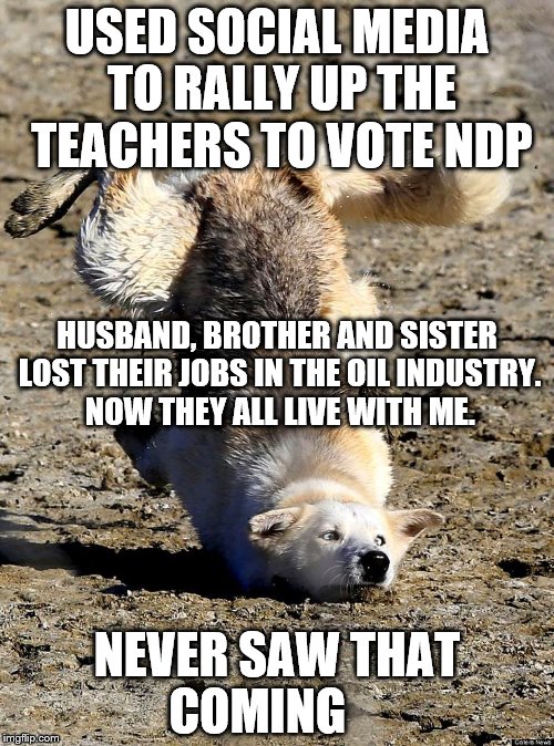 USED SOCIAL MEDIA TO RALLY UP THE TEACHERS TO VOTE NDP; HUSBAND, BROTHER AND SISTER LOST THEIR JOBS IN THE OIL INDUSTRY. NOW THEY ALL LIVE WITH ME. NEVER SAW THAT COMING | image tagged in never saw that coming | made w/ Imgflip meme maker