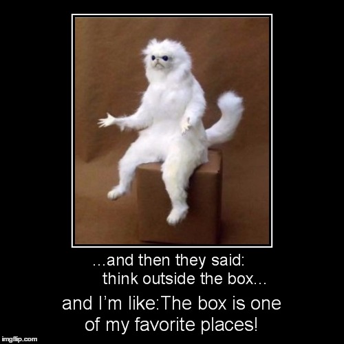 The Box | + | image tagged in think outside the box,cat | made w/ Imgflip meme maker